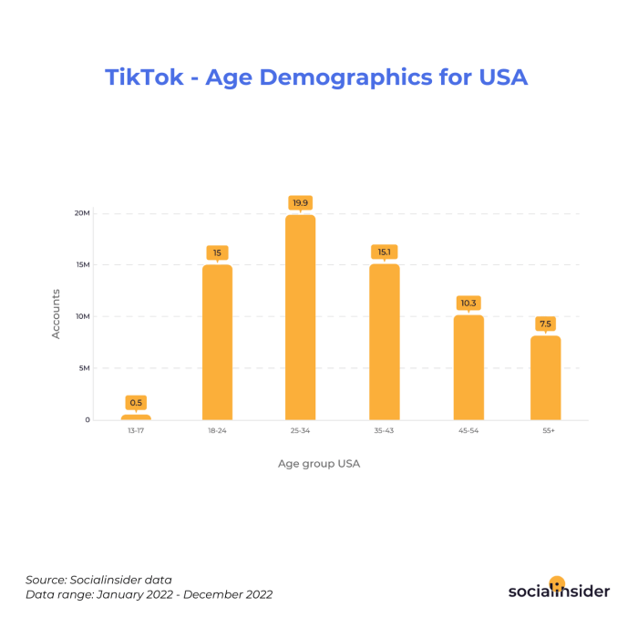 Minimal Followers Live Tiktok 2025