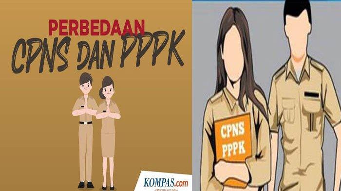Apa perbedaan P3K dan CPNS?