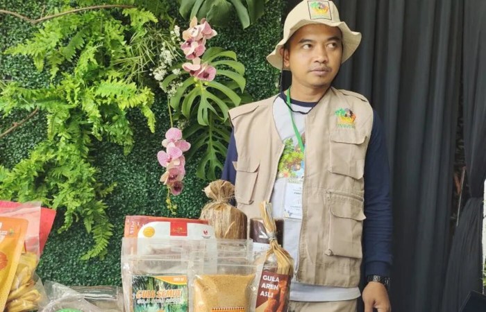 Kenaikan UMK 2025 Lampung