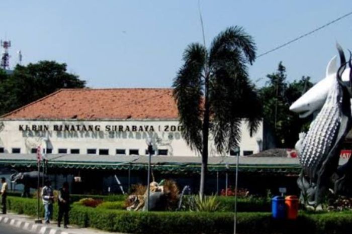 Apakah kenaikan UMR Surabaya 2025 mengikuti inflasi?