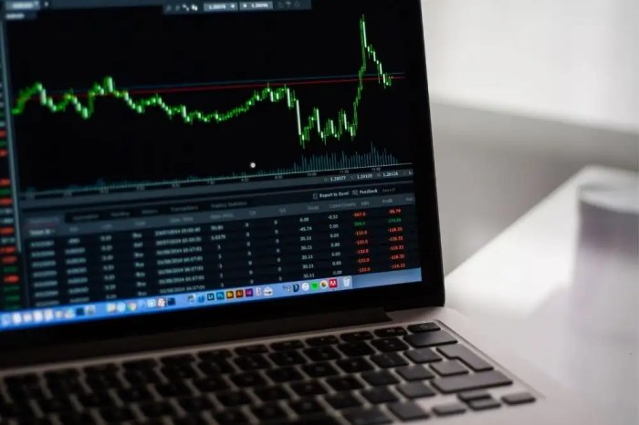 Daftar Saham Blue Chip Indonesia 2025