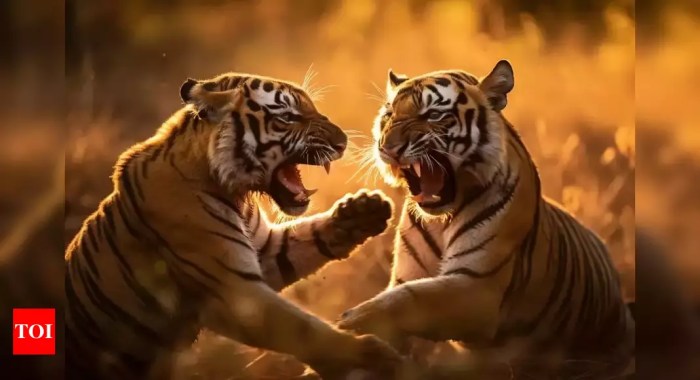 Arti mimpi tentang Macan di Desember 2024