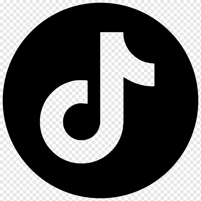 Tiktok Logo Png 2025