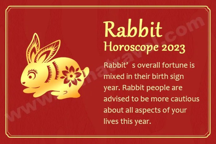 Olahraga apa yang cocok untuk shio Kelinci di tahun 2025?