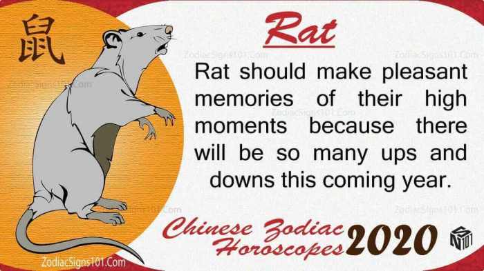 Mengembangkan bakat dan potensi shio Tikus di Desember 2024
