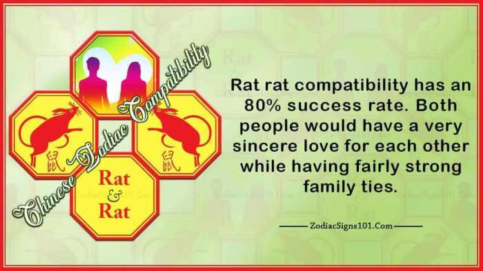 Zodiac chinese rat predictions life love based here