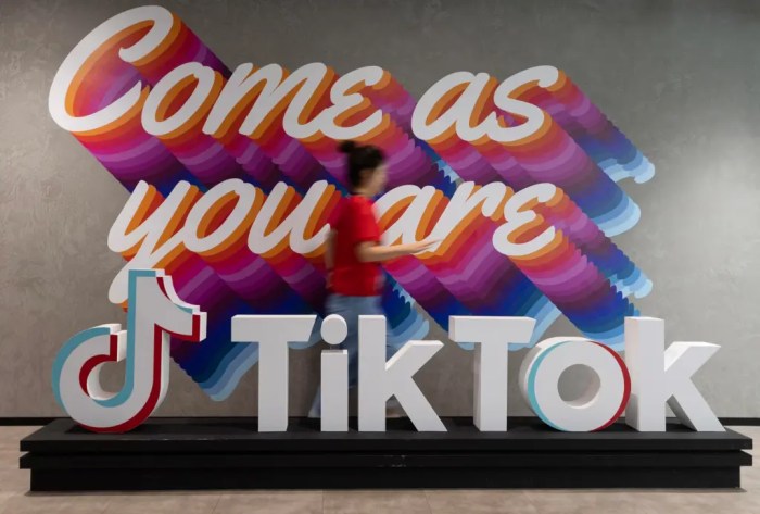 Pengguna Tiktok Di Indonesia 2025 We Are Social