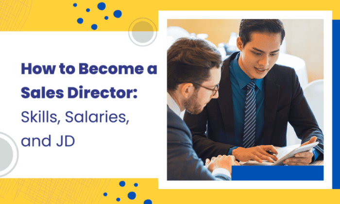 Gaji Sales Director 2025