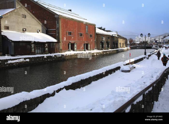 Suhu Sapporo Januari 2025