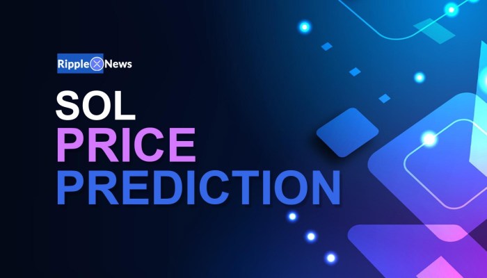 Prediksi Solana Januari 2025