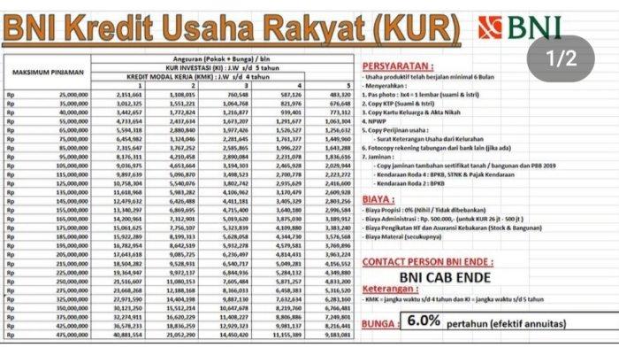 Maksimal Pinjaman Kur BNI 2025