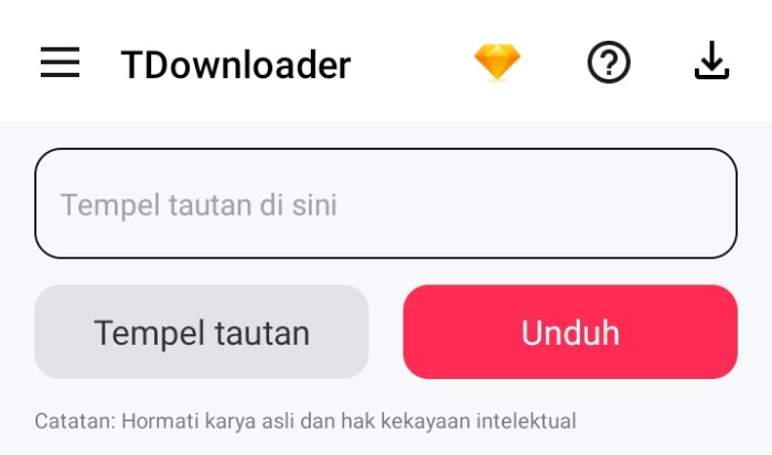 Download Tiktok 2025