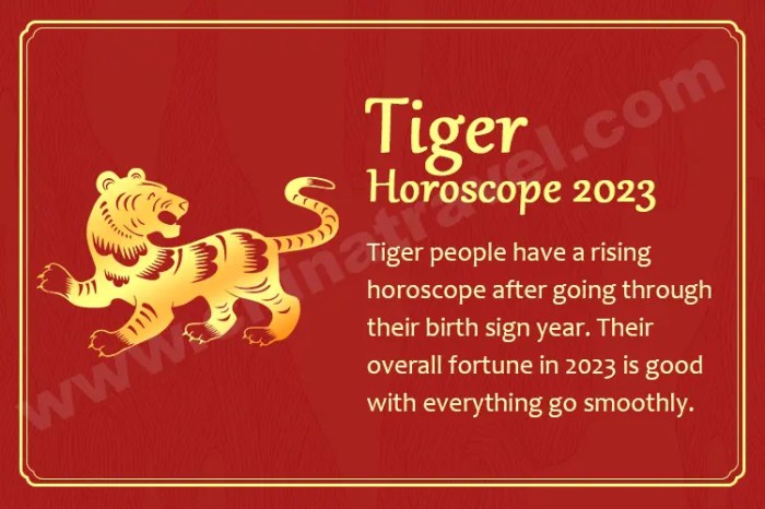 Zodiac tigre meanings cinese oroscopo astrology
