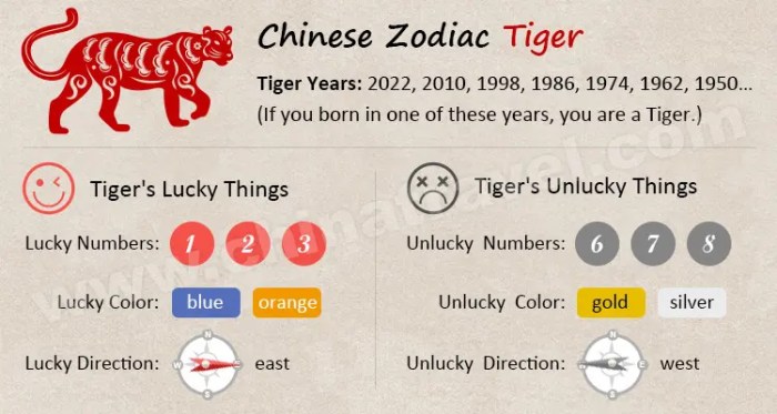 Peruntungan shio Macan tahun 2025 menurut feng shui