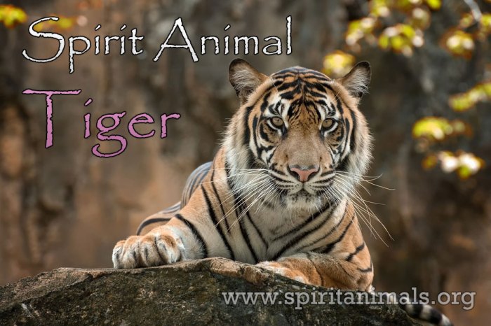 Shio Macan dan spiritualitas