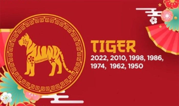 Bagaimana ramalan keuangan shio Macan Desember 2024?