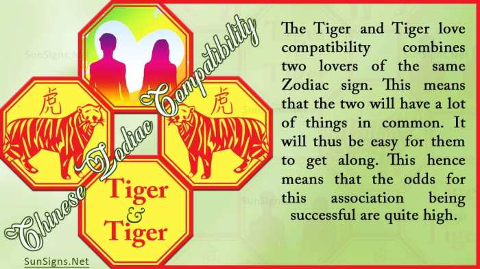 Compatibility astrology