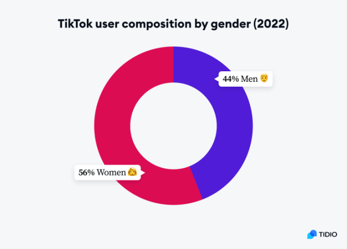 Tiktok User Statistics 2025