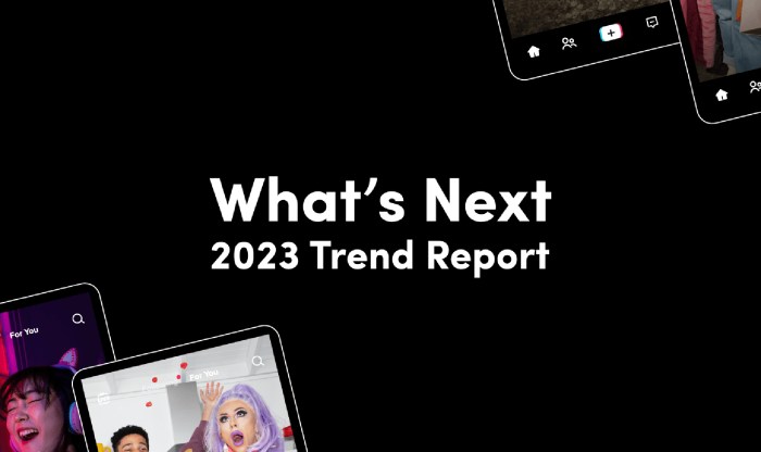Tiktok 2025 Predictions
