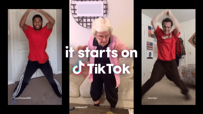Tiktok Phrases 2025