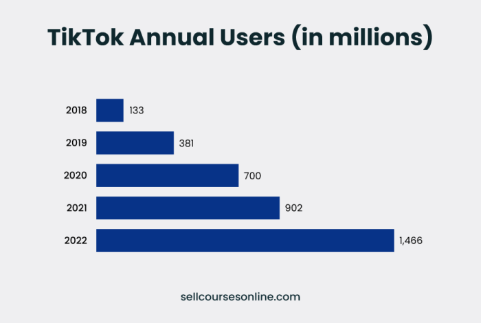 Tiktok Users In Malaysia 2025
