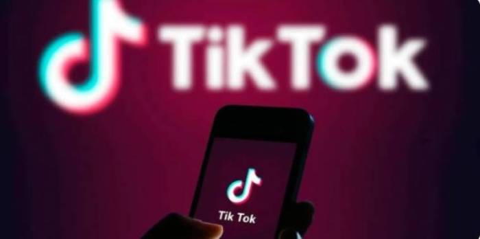 Download Tiktok Mod Terbaru 2025