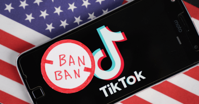 What States Is Tiktok Banned In 2025