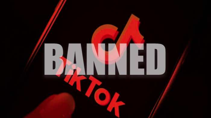 Is Tiktok Banned In Russia 2025