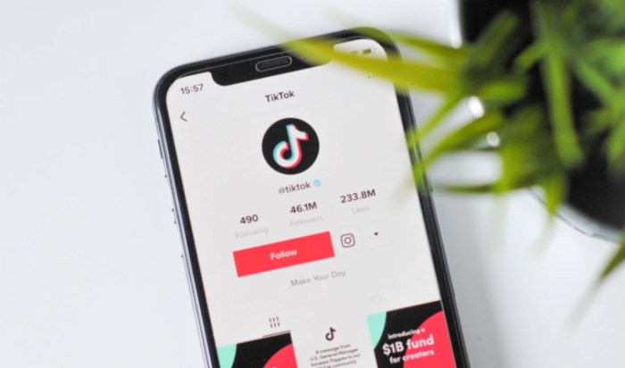 Fyp Tiktok April 2025