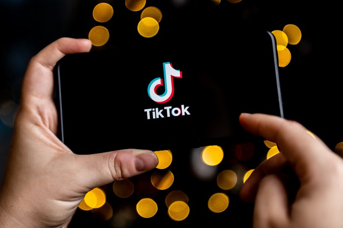 Fund Tiktok Creator Fund Canada 2025