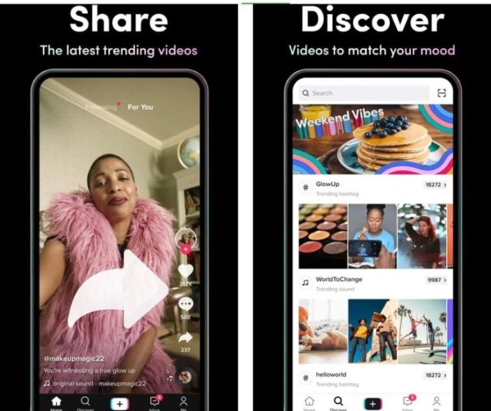 Tiktok Downloader Mod Apk 2025