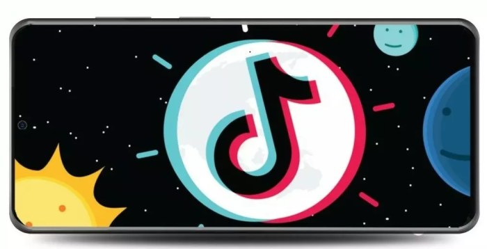 Tiktok Plugin Apk 2025
