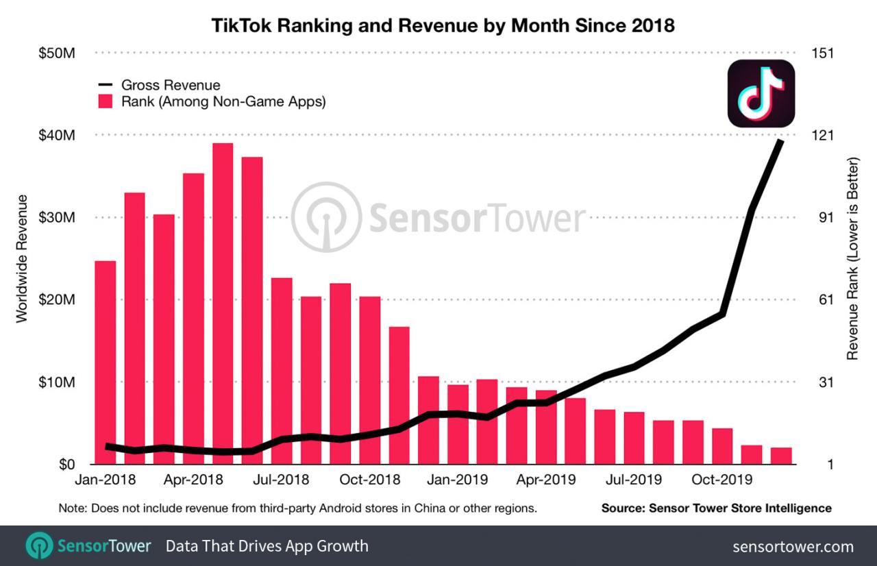 Tiktok Revenue 2025