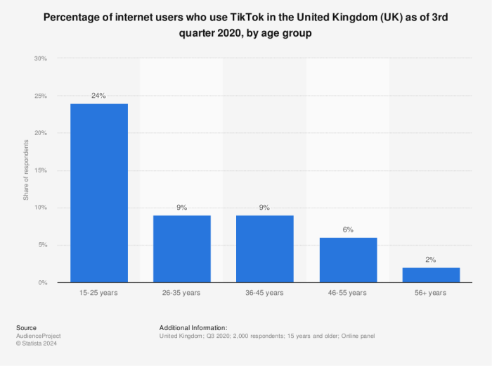 Tiktok Users Demographics 2025