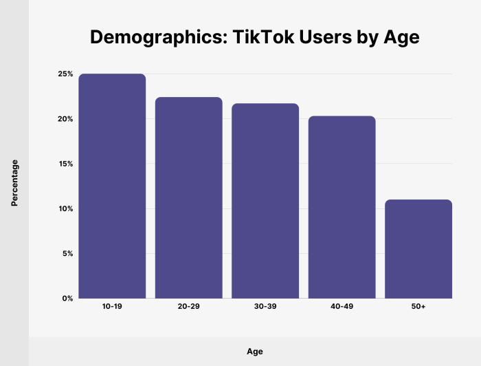 Size Tiktok 2025
