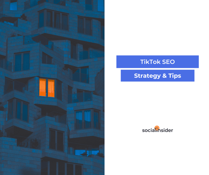 Seo Tiktok 2025