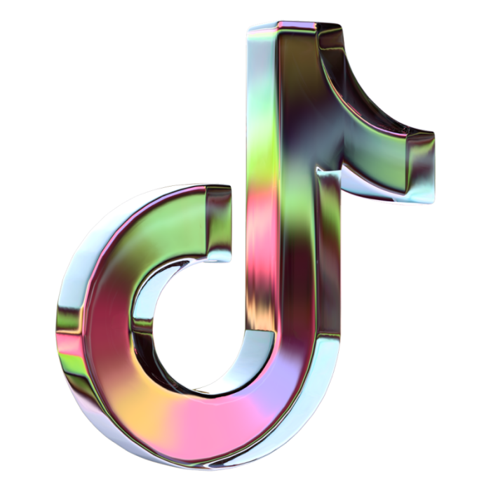 Tiktok Logo 2025