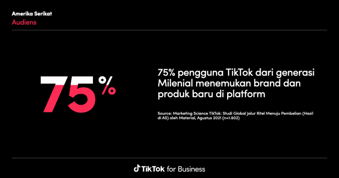 Report Tiktok 2025