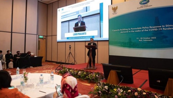 Apakah ada bantuan UMKM 2025 dari organisasi internasional?