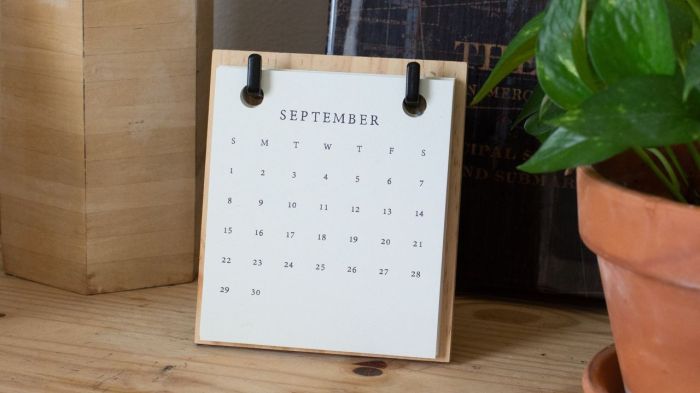 Jadwal Fyp Tiktok November 2025