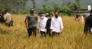 Bantuan Tani 2025