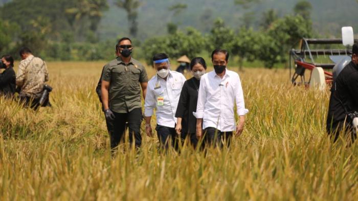 Bantuan Tani 2025