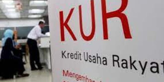 Kapan KUR BRI Dibuka Lagi 2025