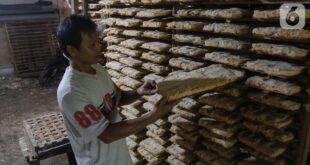 Kuota KUR 2025 Kapan Dibuka