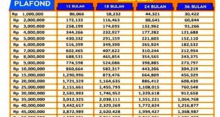 KUR BRI Syariah 2025