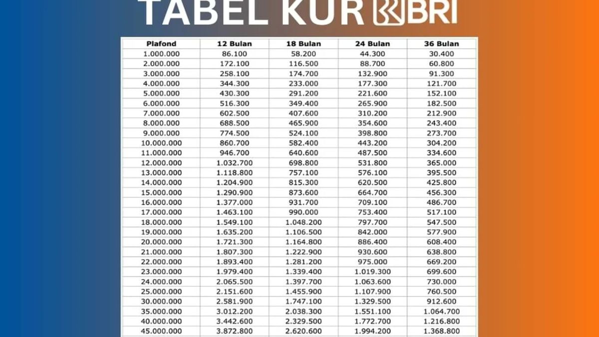 KUR BRI 2025 50jt