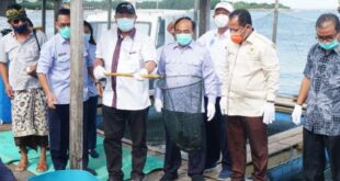 Bantuan Bioflok Kkp 2025