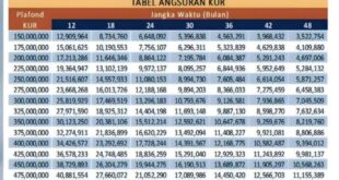 200 Juta Pinjaman BRI 2025 Non KUR 200 Juta