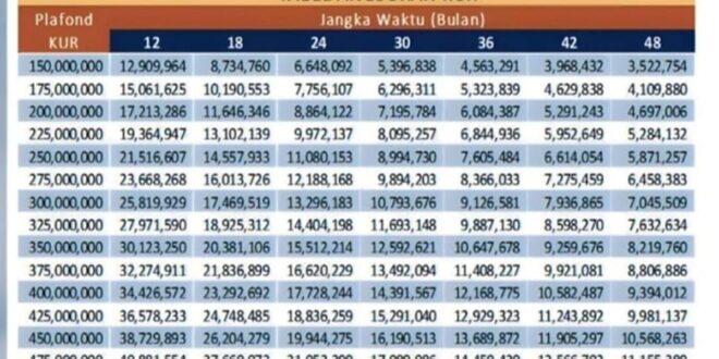 Pinjaman BRI 2025 Non KUR 200 Juta