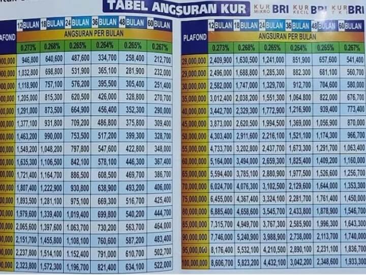 Cicilan BRI KUR 2025